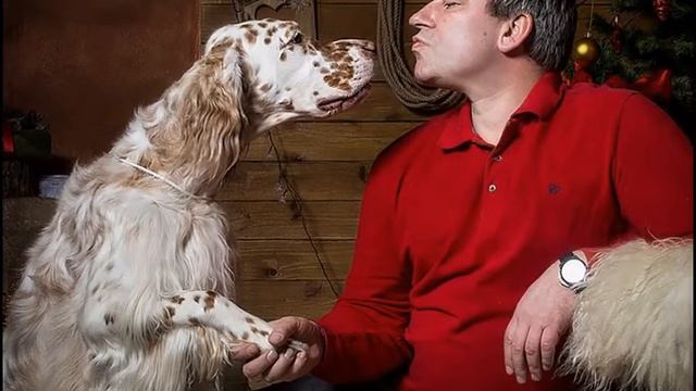 крутые животные мира