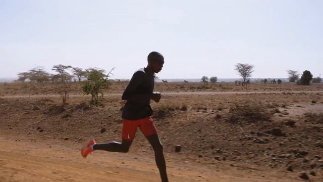 Running through a National Park! смотреть онлайн
