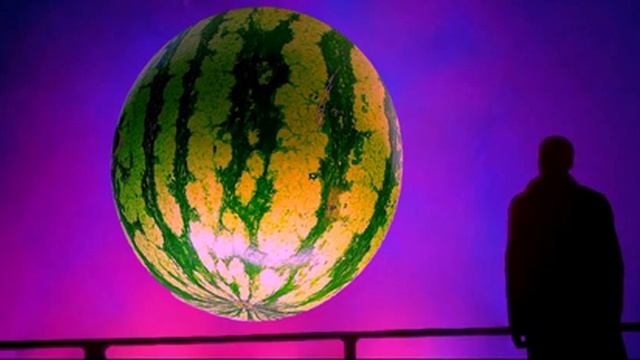 кот на арбузе мем смотреть онлайн