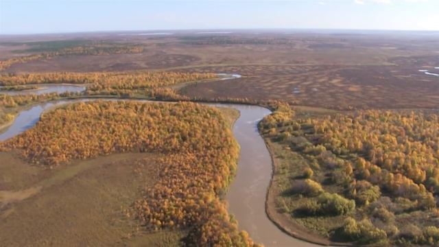 Побережье Белого моря. Природа. Осень смотреть онлайн