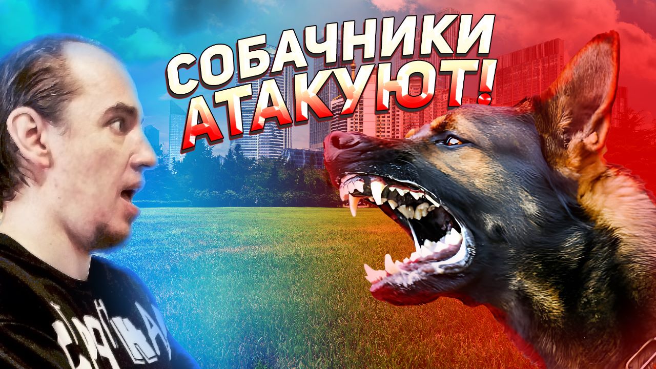 Тупые Собачники против живодёров! Безумные скандалы и конфликты из - за домашних животных. (Расшире) смотреть онлайн