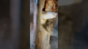 Установка фаркопа форд фокус 2 хетчбек.