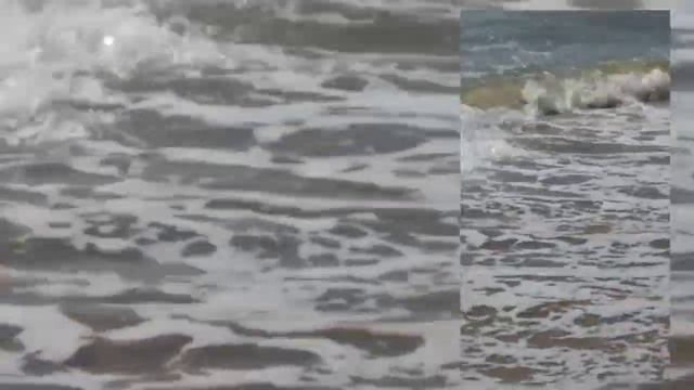 БЕРДЯНСК.Пляж"ВЕРХОВАЯ".Змея на пляже! смотреть онлайн