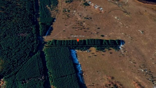 Самая большая в России надпись из живых деревьев! А я нашла ещё одну смотреть онлайн