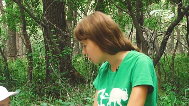 ЧТО ДЕЛАТЬ С УПАКОВКОЙ ИЗ ПОД ЧИПСОВ????? Люзия и Федот берегут природу. смотреть онлайн