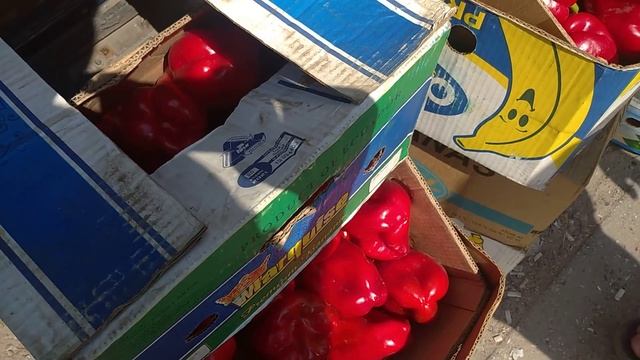 Цены сегодня Рынок ВЕЛИКІ КОПАНІ 2 августа. 11:30 обед. смотреть онлайн