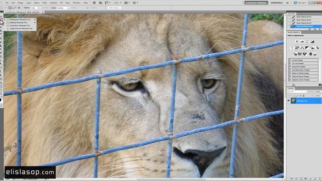 Photoshop Tips 11.2011 | Arrange Workspaces, Spot Healing Brush, AKVIS Sketch смотреть онлайн