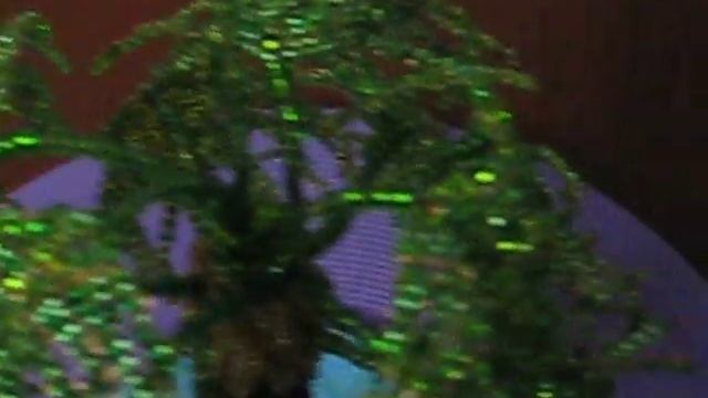 Пальма из бисера.