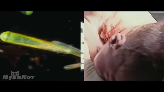 В 2062 году все люди бессмертны.. остался один старик :(