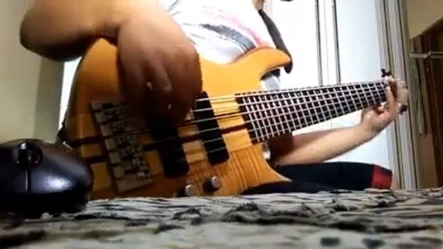 Eu vou Louvar - Quarteto Alfa / Baixo Cort Artisan A6 смотреть онлайн