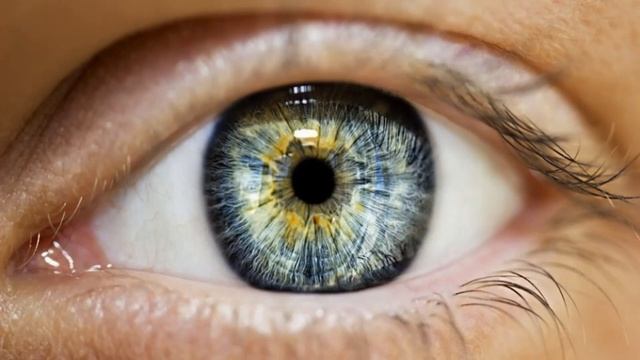 Обновление тела и Молодые клетки