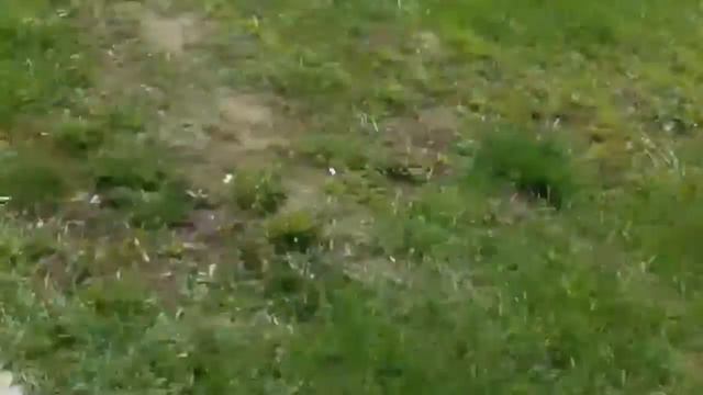 Она забыла что надо сказать смотреть онлайн