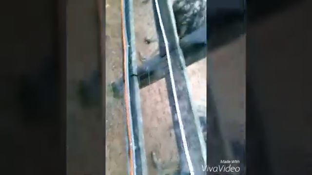 Страусиная ферма))||vlog|| смотреть онлайн