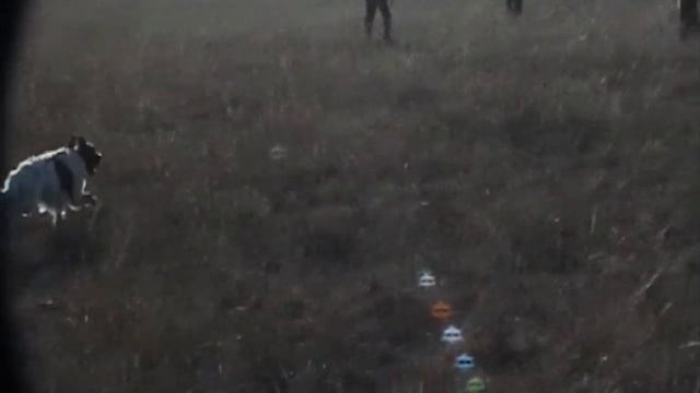 Акоп смотреть онлайн