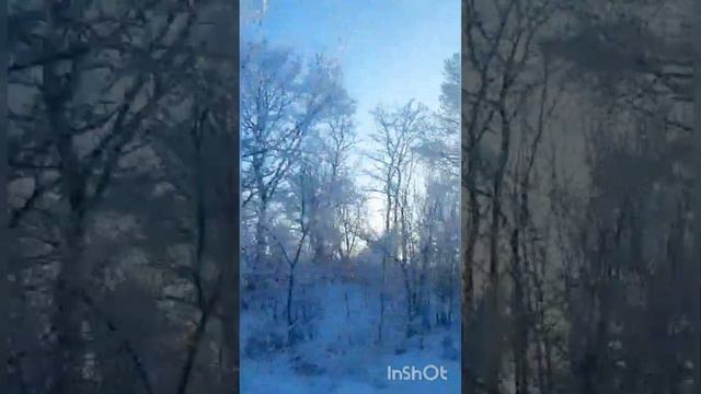 Зимняя природа Амурская область смотреть онлайн