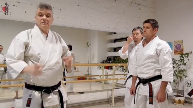 Основной принцип традиционного карате | The basic principle of traditional karate смотреть онлайн