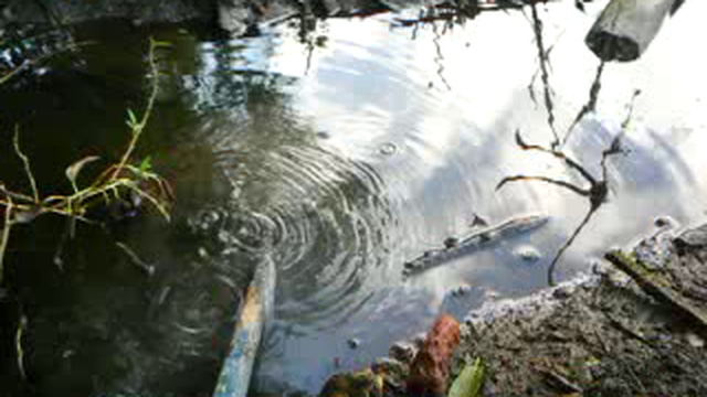 Охлаждение раскаленного электродвигателя в воде смотреть онлайн
