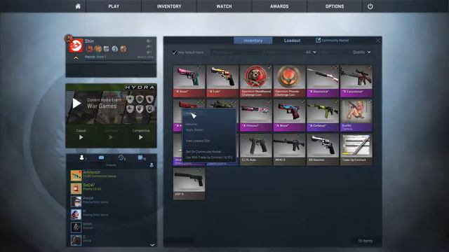 Shin's CSGO inventory of awesome смотреть онлайн