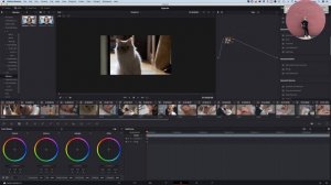 Автоматическая нарезка видео в  Davinci Resolve