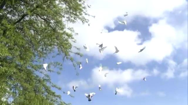 Последний школьный звонок смотреть онлайн