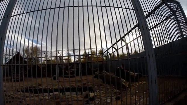 Зоопарк Усть-Каменогорска. 2015 год. смотреть онлайн