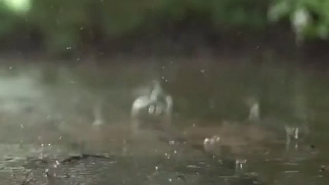 Осень краской грусти смотреть онлайн