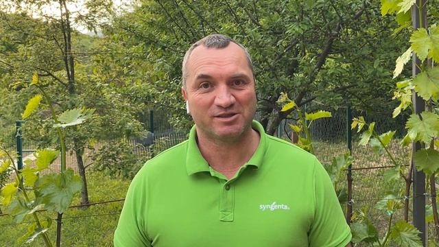 Лёт листовертки смотреть онлайн