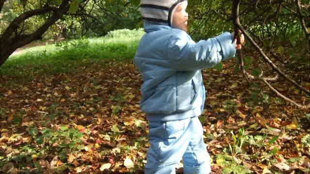 2011 - 09 сентябрь 03 смотреть онлайн