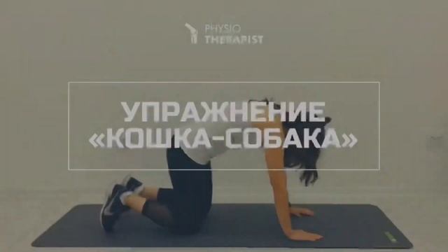 4 упражнения при болях между лопатками смотреть онлайн