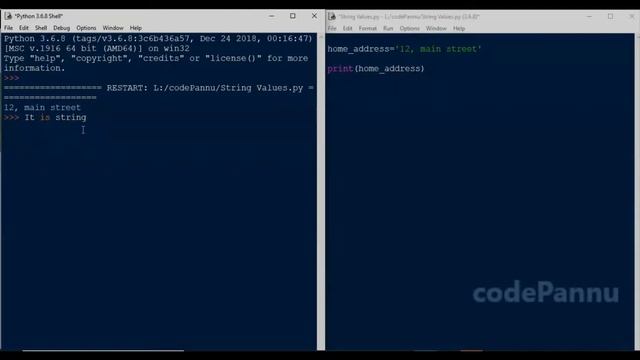 Week 3 - Video 3 - String values | Variables & Datatypes | Python in Tamil for school students смотреть онлайн