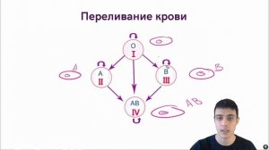 Группы крови. Резус фактор. Резус конфликт. ЕГЭ