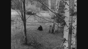 Где-то далеко - песня из к_ф 17 Мгновений Весны (1973)