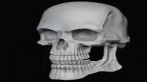 шаблон для мемов скелет крутится и потом улыбается