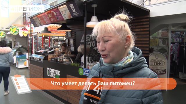 ОПРОС ДНЯ: НАШИ ЛЮБИМЫЕ ДОМАШНИЕ ЖИВОТНЫЕ смотреть онлайн