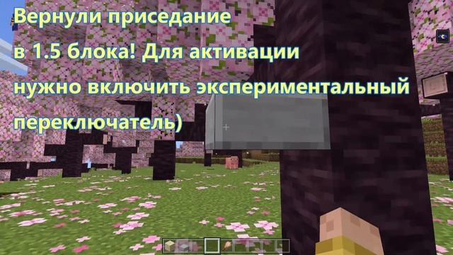 МАЙНКРАФТ 1.19.80.20 - ДОБАВЛЕН ВИШНЕВЫЙ БИОМ, РЕДАКТОР МИРА И ИСПРАВЛЕНО ДЕСЯТКИ БАГОВ! смотреть онлайн