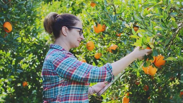 The Wonderful Company harvest savings and boosts efficiency with Oracle Cloud смотреть онлайн