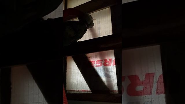 Заполнение эковатой стены каркасного дома в Белгороде