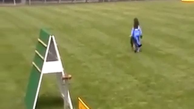 Супер!!! Девочка 7 лет, сдача IGP смотреть онлайн