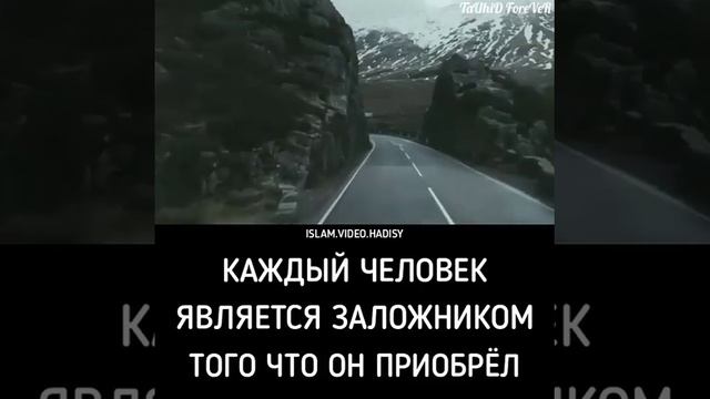 Касса впереди смотреть всем ставьте лайки и подписывайтесь смотреть онлайн