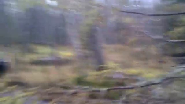 кабаны на утм смотреть онлайн