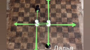 Новые шахматные фигуры (дикие шахматы)