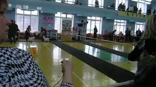 Открытие Терьер союза в Н-ске смотреть онлайн