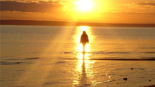 Контактер Латуйя. Ченнеинг. Об обладании энергией, формирование совершенной среды обитания смотреть онлайн