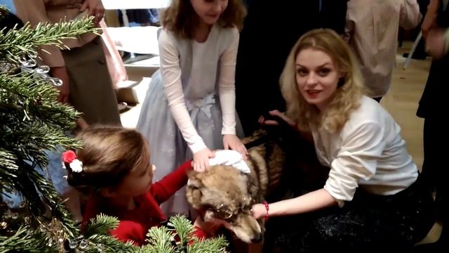 ВОЛКОСОБ-ГИБРИД ВОЛКА И СОБАКИ смотреть онлайн