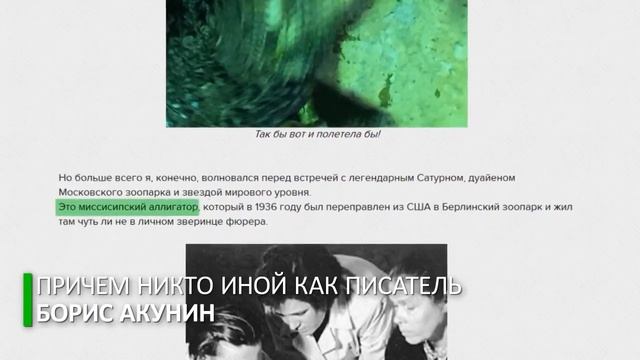 Сатурналии. смотреть онлайн