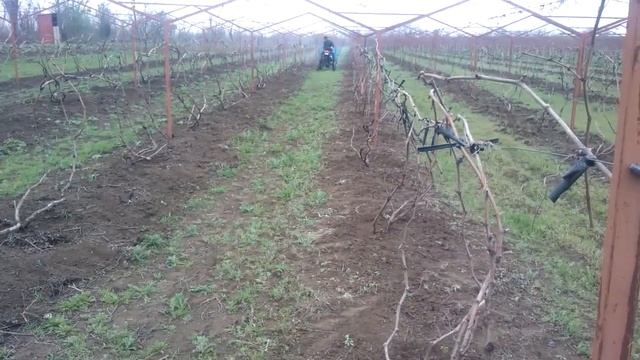 Прицепной опрыскиватель для мототрактора смотреть онлайн