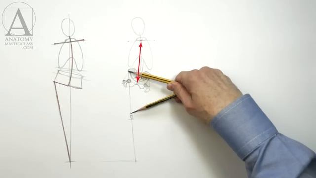 Human Body Skeleton - Anatomy Master Class смотреть онлайн