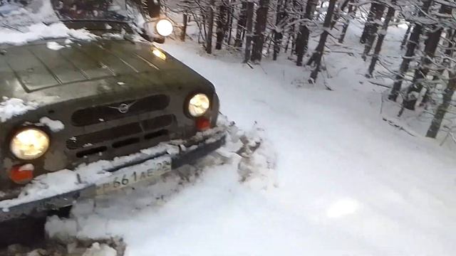 Поездка в лес в день народного единства. смотреть онлайн