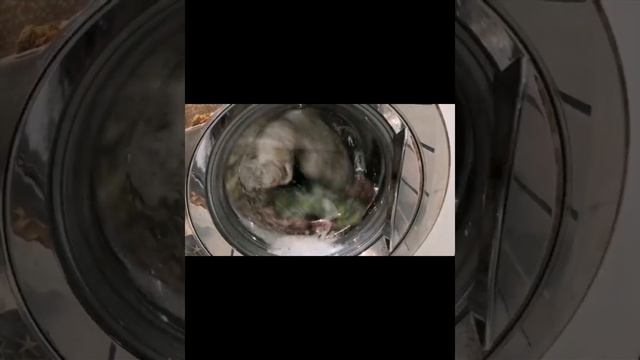 LG F1022NDR: Синтетика 60°,800 об/мин, предварительная, супер полоскание. (Видео: LG WASHER)