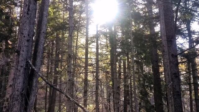 Осень Сахалинская смотреть онлайн